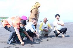 Maknai Kebangkitan Nasional, BPIP Inisiasi Tanam Mangrove dan Lepas Tukik 