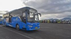 PO Bus dengan Armada Terbanyak di Indonesia, Bikin Geleng Kepala Ada yang Punya 5.000 Unit