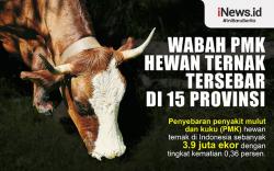  Infografis Wabah Penyakit Mulut dan Kuku Hewan Ternak Tersebar di 15 Provinsi