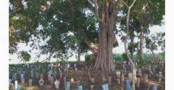 Belum Diketahui Banyak Orang, 6 Desa Ini Dianggap Horor, Sekali Singgah Bikin Merinding