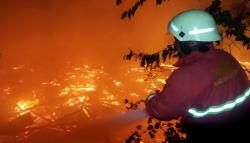 Kandang Terbakar Hebat di Cikalongwetan KBB, Ribuan Ayam Mati Terpanggang<