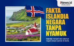Infografis Islandia Jadi Satu-satunya Negara Tanpa Nyamuk, Kok Bisa?