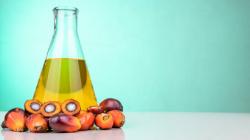 Negara dengan Harga Minyak Goreng Termurah, Indonesia Termasuk?