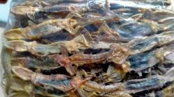 Sumbar Ekspor 300 Kg Cecak Kering ke Hong Kong