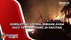 Korsleting Listrik, Ribuan Ayam Mati Terpanggang di Pacitan