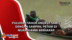 Puluhan Tahun Angkut Sawit dengan Sampan, Petani di Muarojambi Berharap Pemerintah Bangun Jembatan