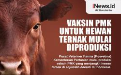 Infografis Vaksin PMK untuk Hewan Ternak Mulai Diproduksi