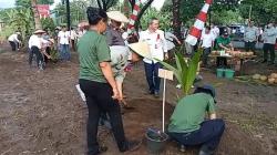 Gubernur Olly: Peremajaan Tingkatkan Produktivitas Tanaman Kelapa