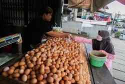 Permintaan Tinggi, Harga Telur Ayam Ras Tembus Rp28.000 