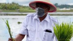 Karantina Pertanian Manado Gencar Buka Pasar Ekspor, Begini Kata Gubernur Sulut<