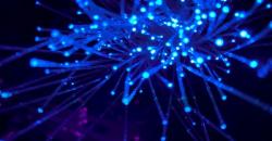 Akses Internet Belum Merata di Indonesia, Ahli Ungkap Penyebabnya