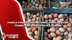 Harga Pakan Ternak Naik, Harga Telur Tembus Rp30.000 per Kilogram
