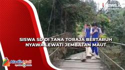 Siswa SD di Tana Toraja Bertaruh Nyawa Lewati Jembatan Maut