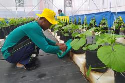 Gandeng JICA, UGM Hadirkan Fab Lab untuk Kembangkan Potensi UMKM