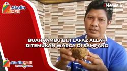 Video Buah Jambu Biji Lafaz Allah Ditemukan Warga di Sampang