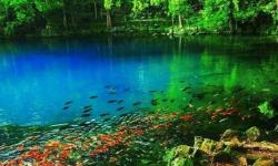 Cerita Mitos Ritual Turun Telaga, Jika Lalai Perempuan Hamil Bisa Lahirkan Bayi Albino