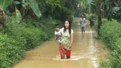 Banjir Rendam Ratusan Rumah di Purworejo, Aktivitas Warga Lumpuh<