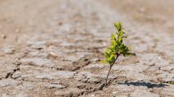 Wajib Tahu, Ini 10 Penyebab Terjadinya Pemanasan Global