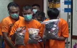 Pelatih Surfing di Bali Nyambi Edarkan Ganja, Sasar Komunitas Peselancar 