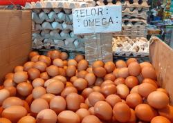 Harga Telur Makin Mahal, Pedagang Sepi Pembeli
