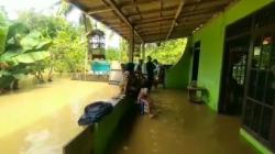 Dikepung Banjir, Warga Sejumlah Desa di Purworejo Memilih Bertahan di Rumah<