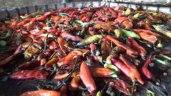 Harga Cabai Meroket, Ibu-Ibu di Lebak Pilih Beli Cabai Busuk