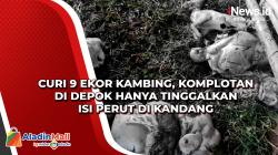 Curi 9 Ekor Kambing, Komplotan di Depok Hanya Tinggalkan Isi Perut di Kandang