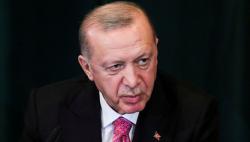 Erdogan Dilecehkan dalam Karikatur, Turki Murka Ancam Swedia dan Finlandia