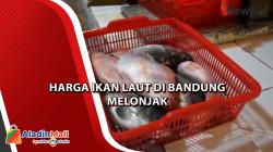 Video Harga Ikan Laut di Bandung Melonjak<