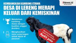Infografis Kembangkan Kambing Etawa, Desa di Lereng Merapi Ini Berhasil Keluar dari Kemiskinan