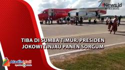 Tiba di Sumba Timur, Presiden Jokowi Tinjau Panen Sorgum