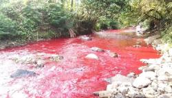 Sungai Cimeta Berwarna Merah Darah, DLH KBB Belum Terima Laporan Ikan Mati<