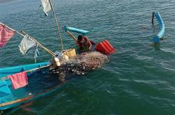 Dihantam Ombak Perahu Nelayan Kulonprogo Karam, 2 ABK Selamat 