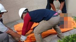 Terungkap, TKA Korsel Lompat dari Lantai 23 Apartemen Ternyata Manajer Proyek