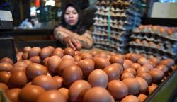 Kenaikan Harga Telur Ayam Sumbang Inflasi Mei 2022 yang Mencapai 0,40 Persen