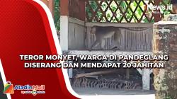 Teror Monyet, Warga di Pandeglang Diserang dan Mendapat 20 Jahitan