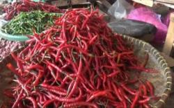 Pedagang Menjerit, Harga Cabai Rawit Meroket, Pembeli Turun