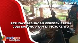 Petugas Gabungan Gerebek Arena Judi Sabung Ayam di Mojokerto