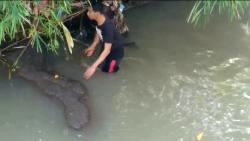 Lepas dari Pengawasan Orang Tua, Balita di Pemalang Hilang Hanyut Terbawa Arus Sungai