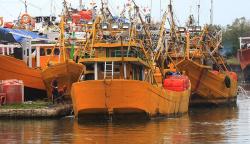 Harga Solar Industri Naik, Ratusan Nelayan Karangsong Sebulan Tidak Melaut