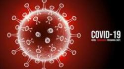 Satgas: Kasus Baru Covid-19 di Sulut Bertambah 1 Orang<