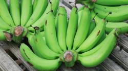 Makna Penyekeban Galungan, Wajib Tahu!