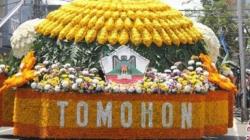 Festival Bunga Tomohon Ke-10 Bakal Angkat Perekonomian Masyarakat usai Dihantam Pandemi