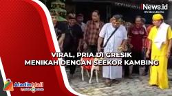 Viral, Pria di Gresik Menikah dengan Seekor Kambing