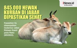 Infografis 845.000 Hewan Kurban di Jabar Dipastikan Sehat