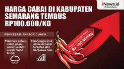 Infografis Harga Cabai di Kabupaten Semarang Tembus Rp100.000 per Kilogram