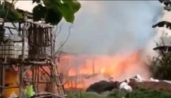 Kandang Peternak Bojonegoro Ludes Terbakar, 55.000 Ekor Ayam Mati Terpanggang 