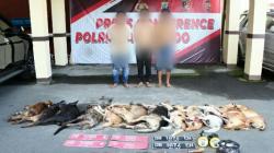 3 Pria Wanea Manado Curi Puluhan Anjing Warga, Pemilik Mobil Sempat Curiga