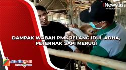 Video Dampak Wabah PMK Jelang Idul Adha, Peternak Sapi Merugi<