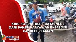 King Kobra Tiba-Tiba Muncul dari Paket, Karyawan Ekspedisi Panik Berlarian